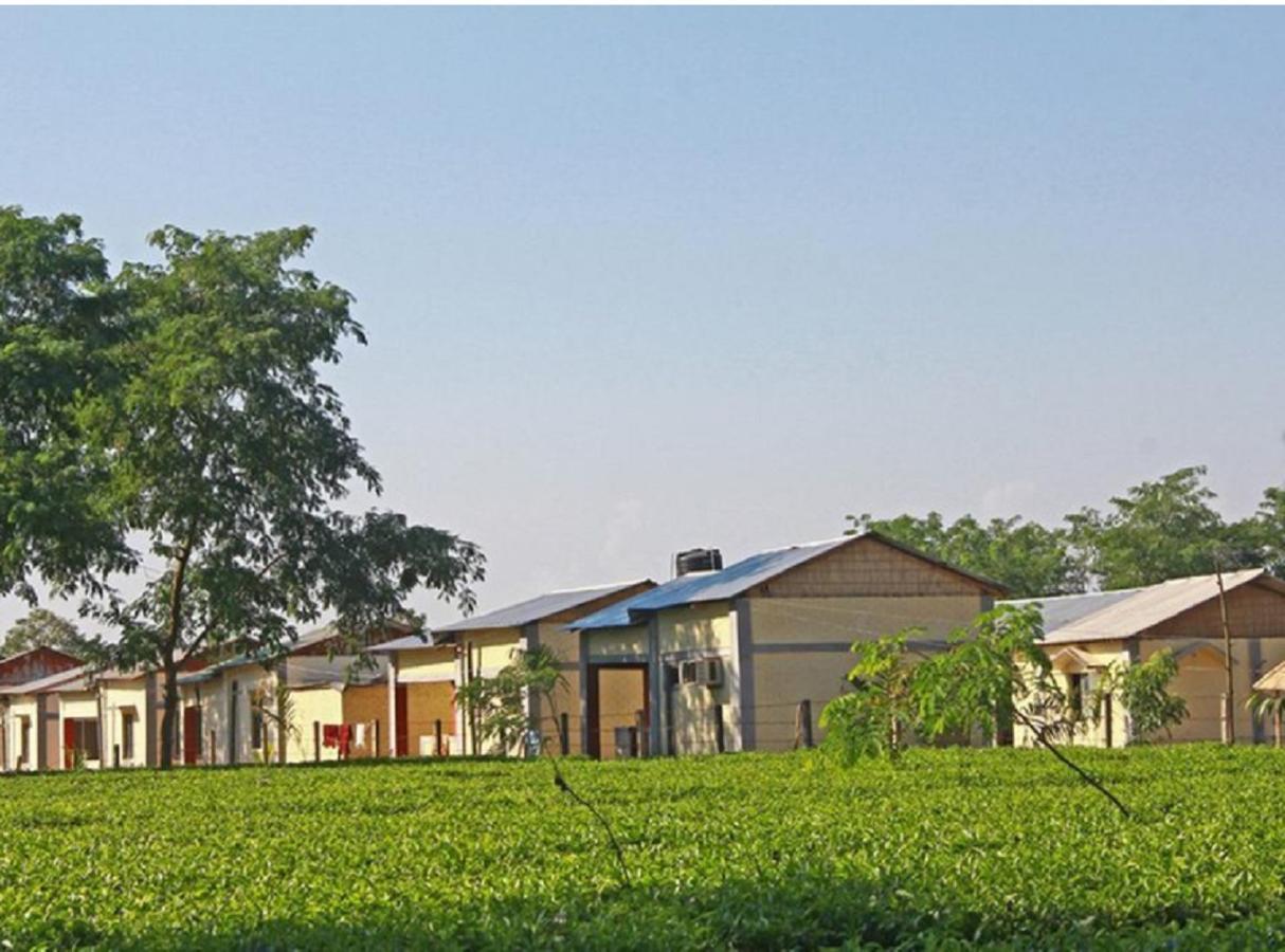 The Mystic Forest - A Tea Garden Resort At Dooars Madari Hat Exterior photo
