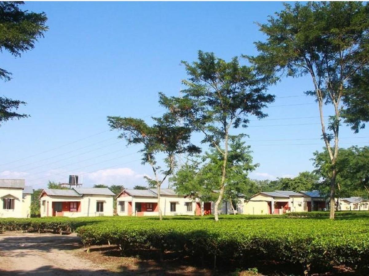The Mystic Forest - A Tea Garden Resort At Dooars Madari Hat Exterior photo